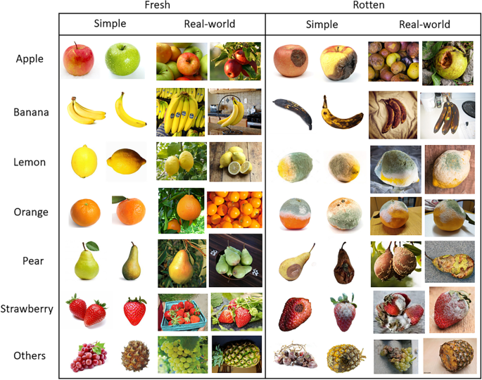 Fruit Classifier